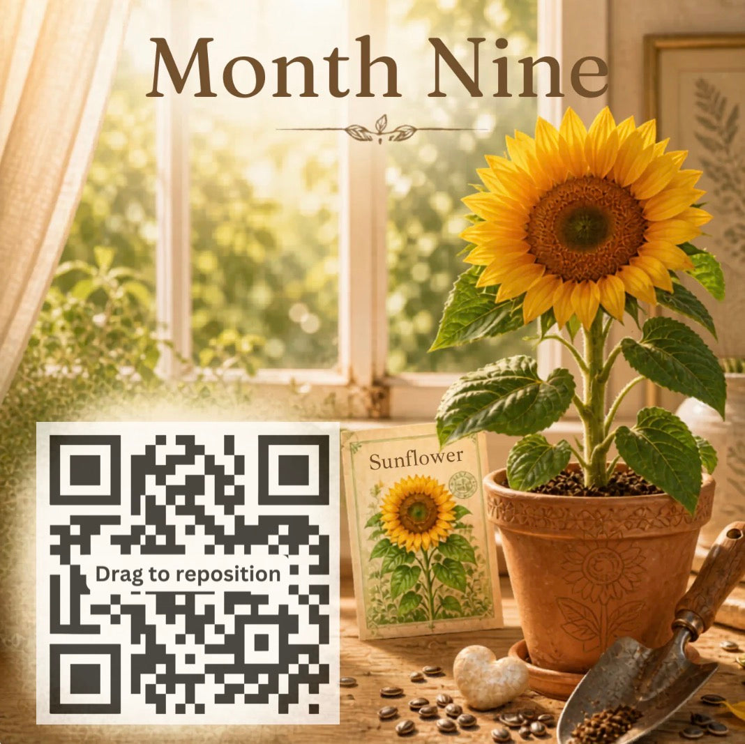 Sunflower Journey – Month Nine