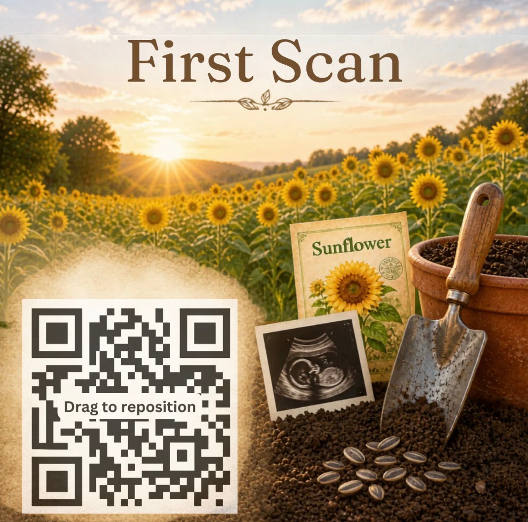 Sunflower Journey – First Scan