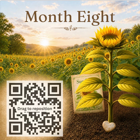 Sunflower Journey – Month Eight