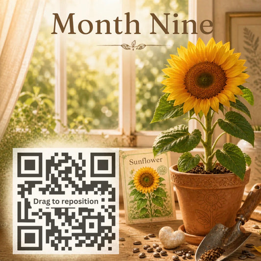 Sunflower Journey – Month Nine
