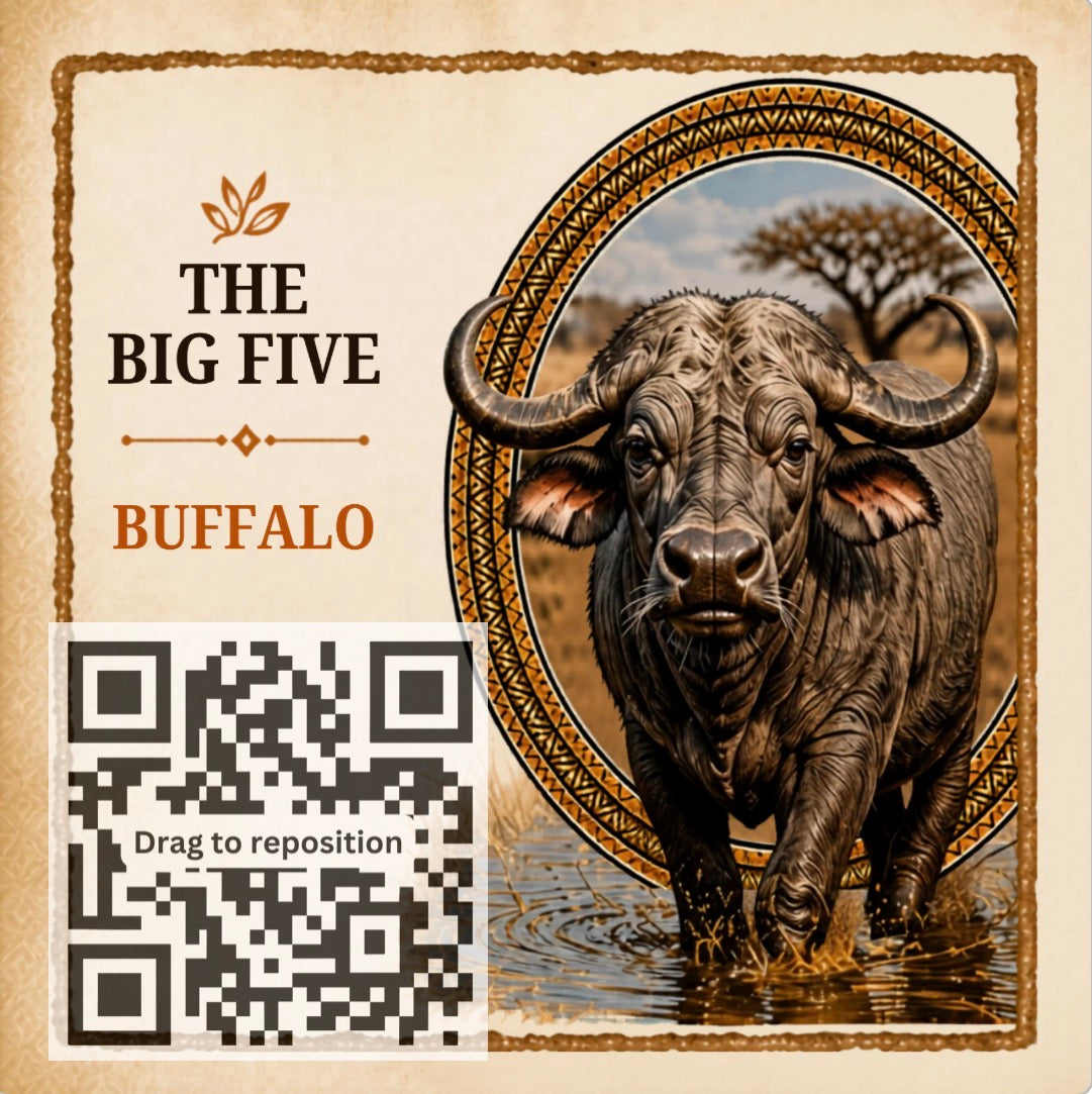 Big Five – Buffalo Keepsake